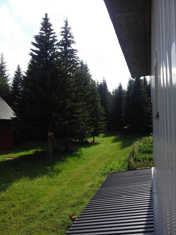 Apartment Luka Žabljak Екстериор снимка