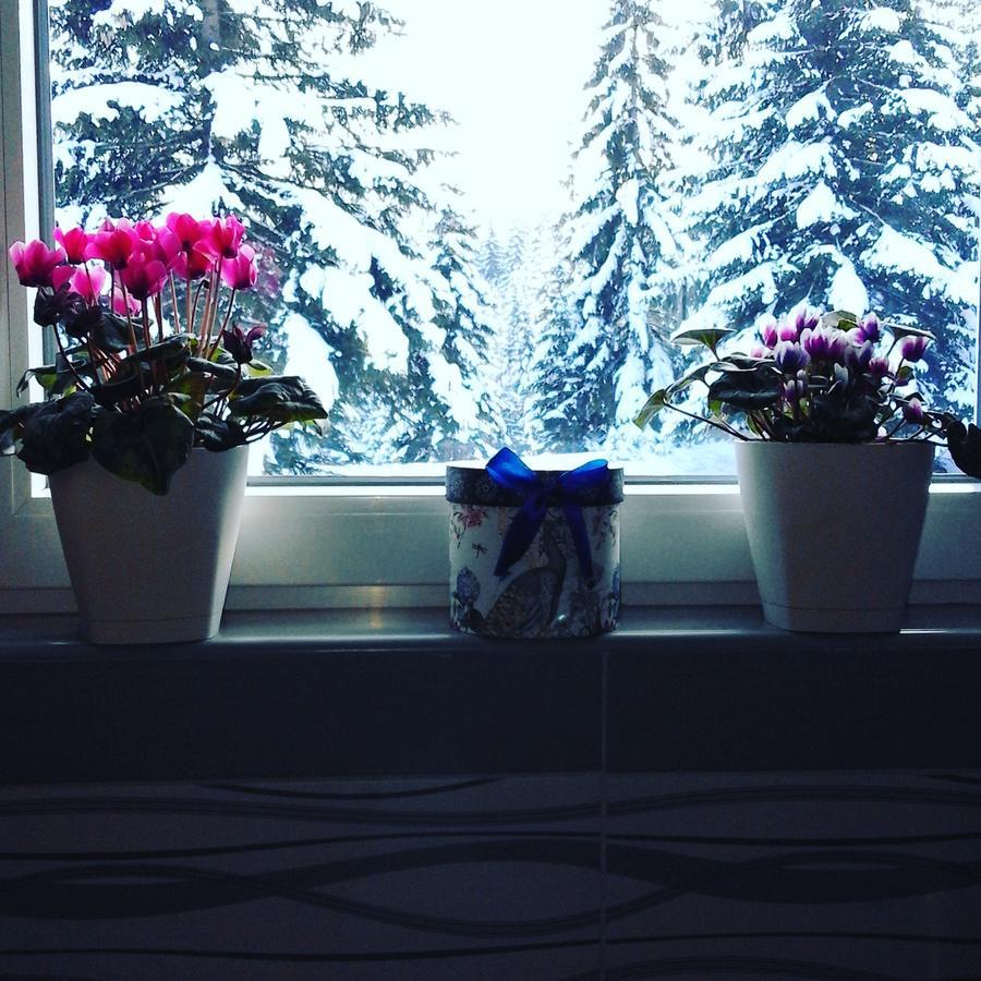 Apartment Luka Žabljak Стая снимка